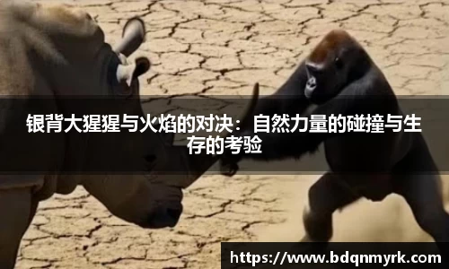 银背大猩猩与火焰的对决：自然力量的碰撞与生存的考验