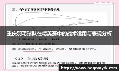 重庆羽毛球队在精英赛中的战术运用与表现分析