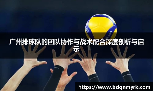 广州排球队的团队协作与战术配合深度剖析与启示