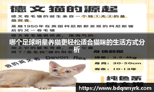哪个足球明星养猫更轻松适合猫咪的生活方式分析